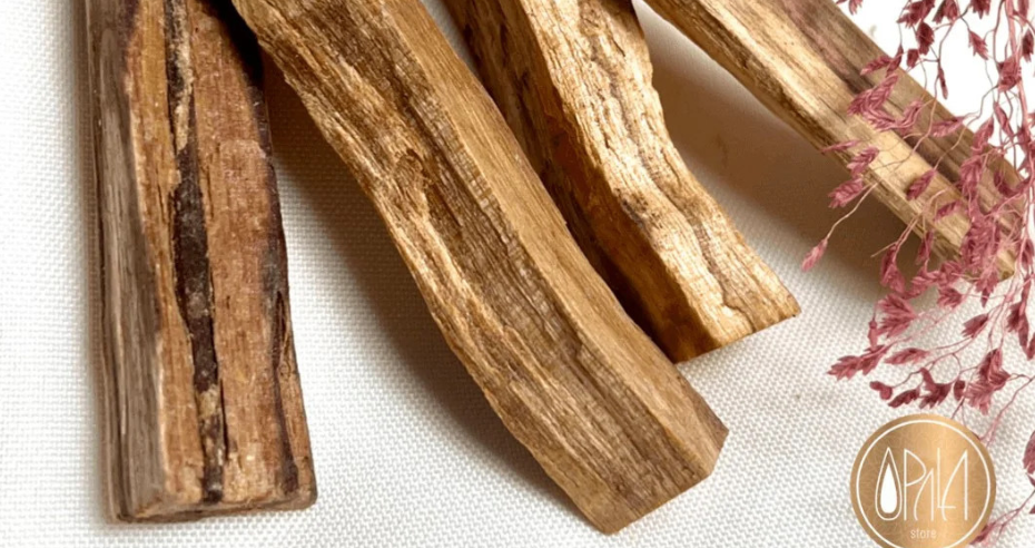 Palo Santo: o que é Palo Santo e como utilizar para cura e limpeza energética.